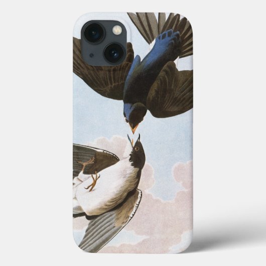 Audubon: Blauwval Case-Mate iPhone Case (Achterkant)