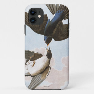 Audubon: Blauwval iPhone 11 Hoesje