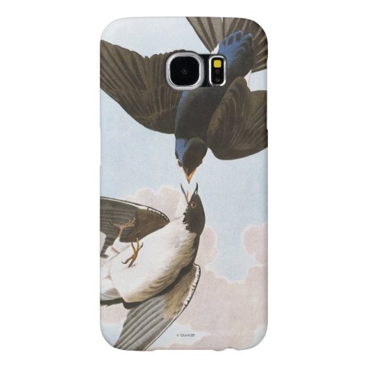 Audubon: Blauwval Case-Mate Samsung Galaxy Hoesje (Achterkant)