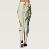 Audubon Blue Jay Birds over Print Leggings (Achterkant)