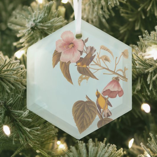 Audubon Blue Winged Yellow Warbler Bird Glas Ornament (Insitu)