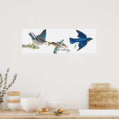 Audubon Bluebird Birds Animal Wildlife Poster (Cuisine)