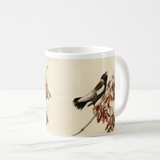 Audubon Bobolink-schenkende koffie Mok (Voorkant rechts)