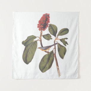 Audubon Bonaparte Flycatcher Bird Wandkleed
