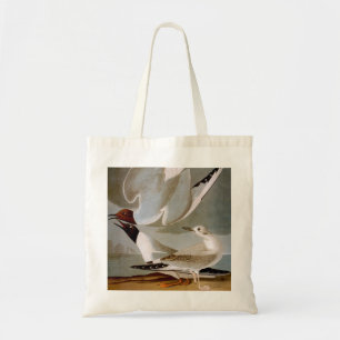 Audubon: Bonaparte s Gull Tote Bag