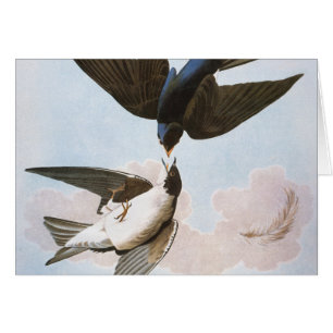Audubon: boomschotel