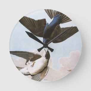 Audubon: boomschotel ronde klok