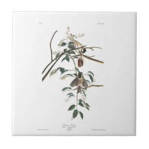 Audubon Bord 160 met zwarte lampvoet, Titelmuis Tegeltje