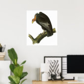 Audubon California Condor Poster (Thuiskantoor)