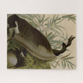 Audubon Canada Goose Wildlife Bird Legpuzzel (Horizontaal)