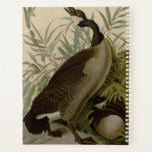 Audubon Canada Oies Oiseaux sauvages (Dos)