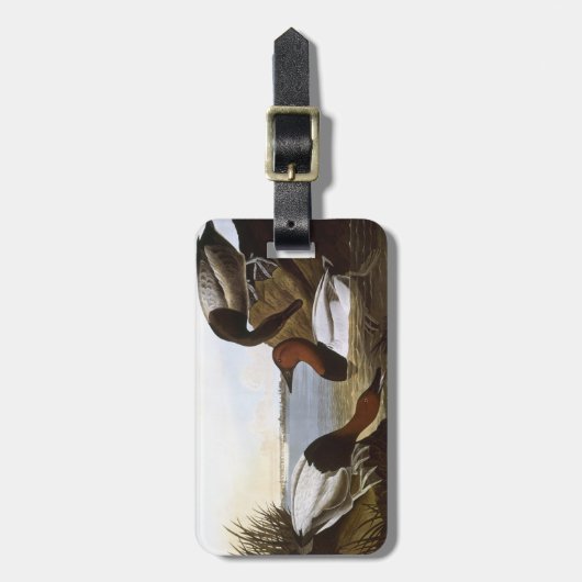 Audubon: Canvasback Bagagelabel (Voorkant verticaal)
