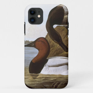 Audubon: Canvasback iPhone 11 Hoesje