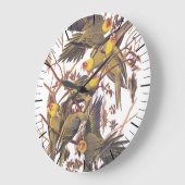 Audubon Carolina Parakeet Grote Klok (Hoek)