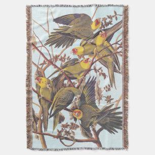 Audubon Carolina Paraket Flock Deken