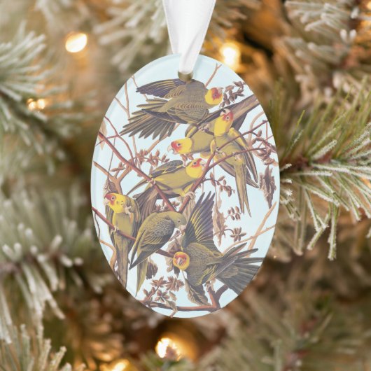 Audubon Carolina Paraket Flock Ornament (Boom)