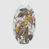 Audubon Carolina Paraket Flock Ornament (voorkant)