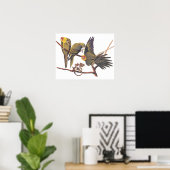 Audubon Carolina Paraket Trio Poster (Thuiskantoor)