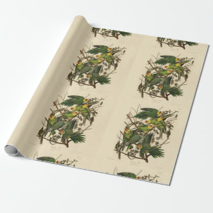 Audubon Carolina Parrot Bird illustratie Cadeaupapier