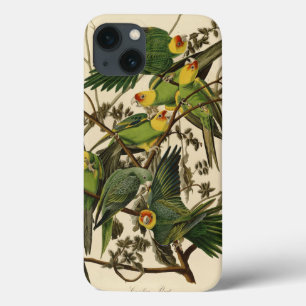 Audubon Carolina Parrot Bird illustratie iPhone 13 Hoesje