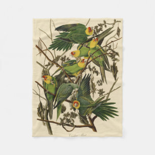 Audubon Carolina Parrot Bird illustratie Fleece Deken