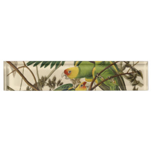 Audubon Carolina Parrot Bird illustratie Naambordje