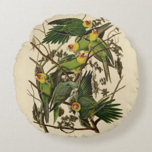 Audubon Carolina Parrot Bird illustratie Rond Kussen