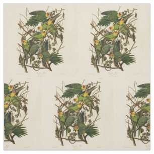 Audubon Carolina Parrot Bird illustratie Stof