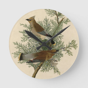 Audubon Cedar Waxing Ronde Klok