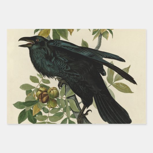 Audubon Cedar Waxwing Bird Inpakpapier Vel (Voorkant 3)