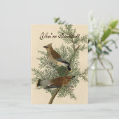 Audubon Cedar Waxwing Bird Kaart (Staand voorkant)