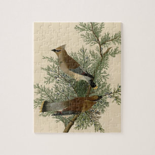 Audubon Cedar Waxwing Bird Legpuzzel