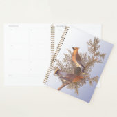 Audubon Cedar Waxwing Bird on Evergreen Juniper (Devant avec enveloppe)
