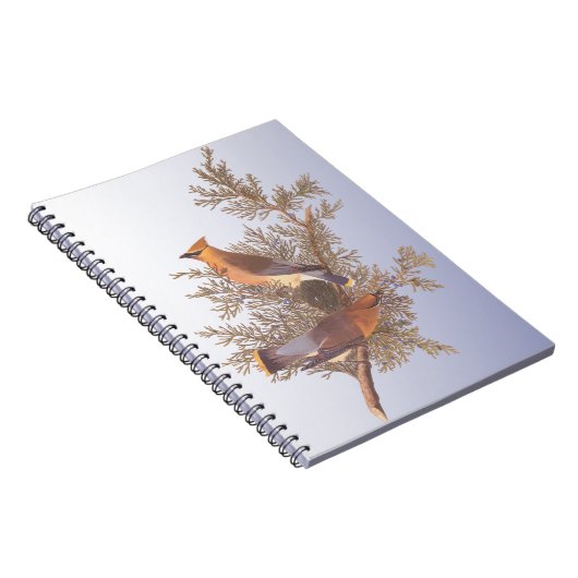 Audubon Cedar Waxwing Bird op Evergreen Juniper Notitieboek (Rechterzijde)