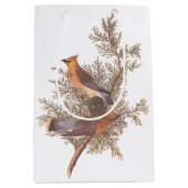 Audubon Cedar Waxwing Songbird in Juniper Medium Cadeauzakje (Voorkant)