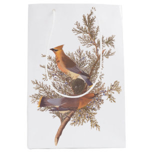 Audubon Cedar Waxwing Songbird in Juniper Medium Cadeauzakje