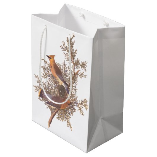 Audubon Cedar Waxwing Songbird in Juniper Medium Cadeauzakje (Achterkant Gekanteld)