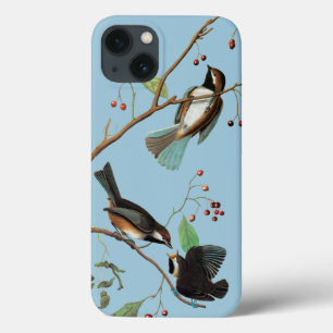 Audubon: Chickadee iPhone 13 Hoesje