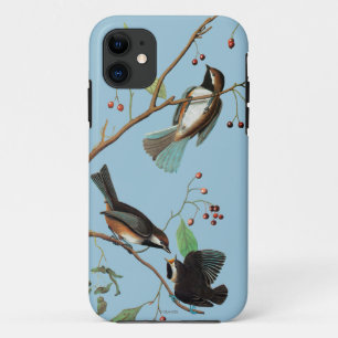 Audubon: Chickadee iPhone 11 Hoesje
