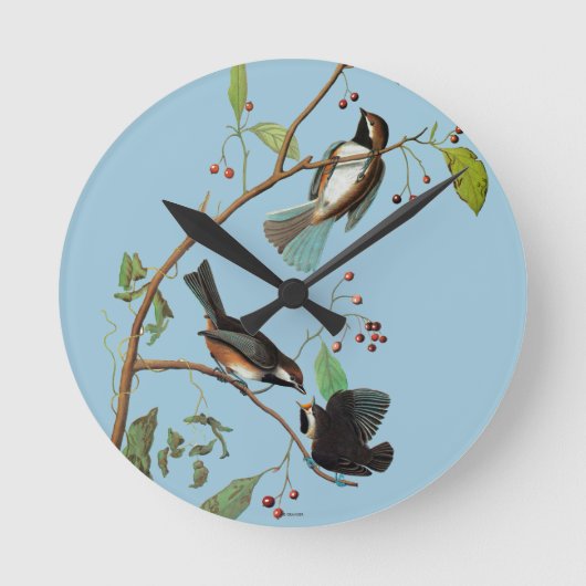 Audubon: Chickadee Ronde Klok (Voorkant)