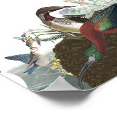 Audubon Collage Oiseaux Animal Wildlife Poster 2 (Coin)