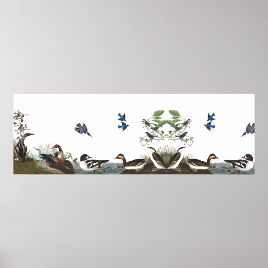 Audubon Collage Oiseaux Animaux Animaux Poster 1 (Devant)