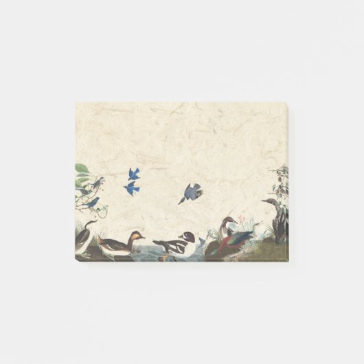 Audubon collage van vogels Wildlife Post Post-it® Notes (Voorkant)