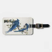Audubon Columbia Jay zwart keel ekster Jay Bagagelabel (Voorkant horizontaal)