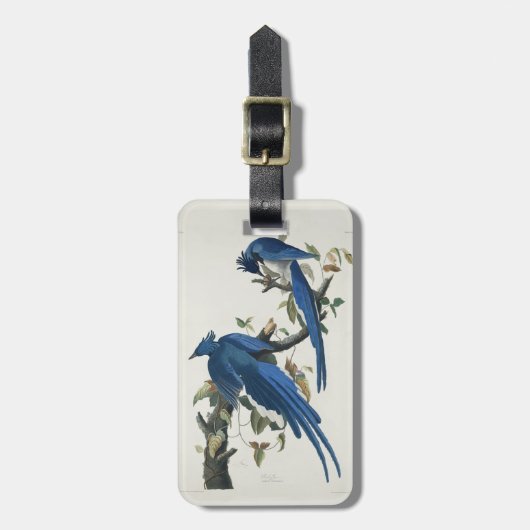 Audubon Columbia Jay zwart keel ekster Jay Bagagelabel (Voorkant verticaal)