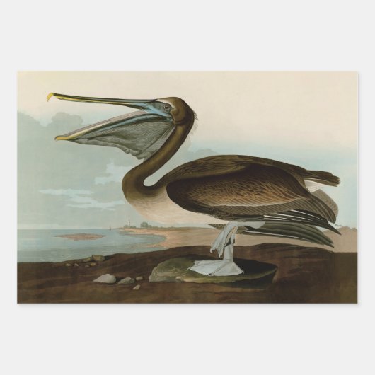 Audubon Columbia Jay zwart keel ekster Jay Inpakpapier Vel (Voorkant 2)
