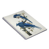 Audubon Columbia Jay zwart keel ekster Jay Notitieboek (Rechterzijde)