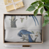 Audubon Columbia Jay zwart keel ekster Jay Tissuepapier (Geschenk)