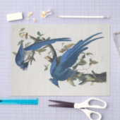 Audubon Columbia Jay zwart keel ekster Jay Tissuepapier (Craft)