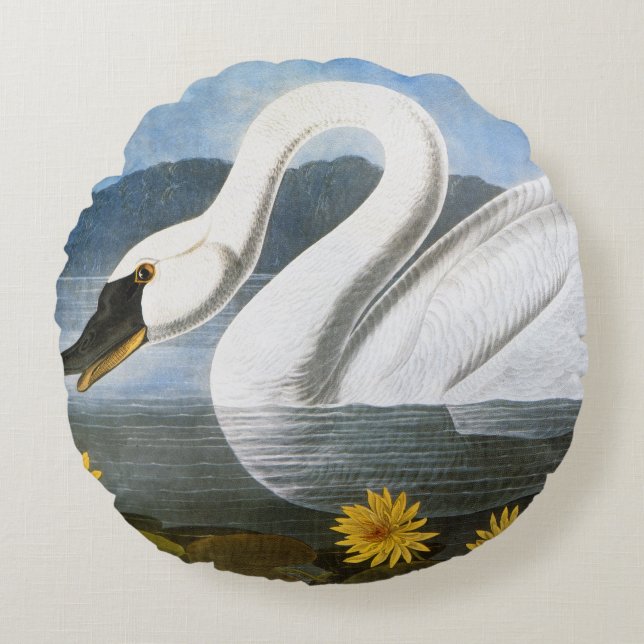 Audubon: Common Swan Rond Kussen (Voorkant)
